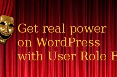 User Role Editor Pro