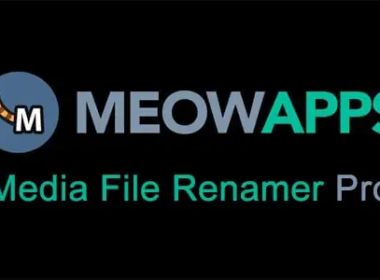 Media File Renamer Pro